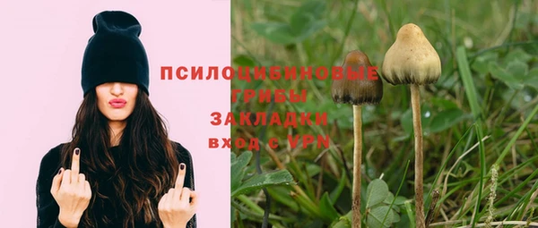 spice Арсеньев