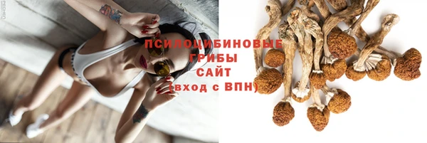 spice Арсеньев