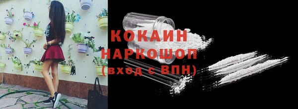 ешки Аркадак