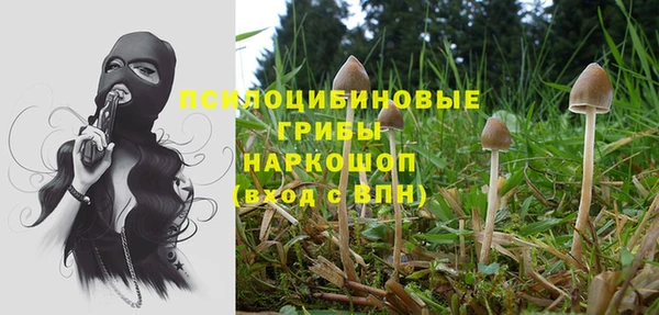 ешки Аркадак