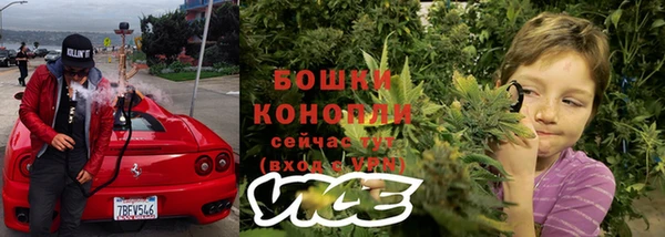 ешки Аркадак